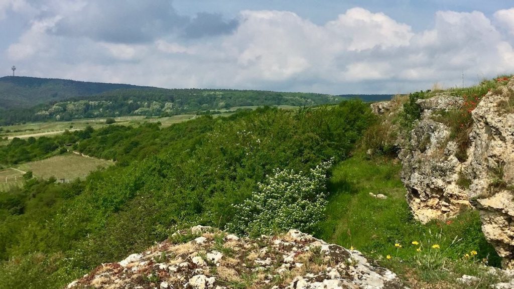 Glyphosat im Naturschutzgebiet Felsberg-Berntal