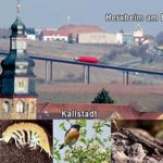 Zwischen Nostalgie und Verharren – Wenn Planung zur Zeitreise wird