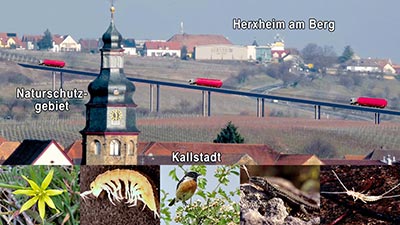 Zwischen Nostalgie und Verharren – Wenn Planung zur Zeitreise wird